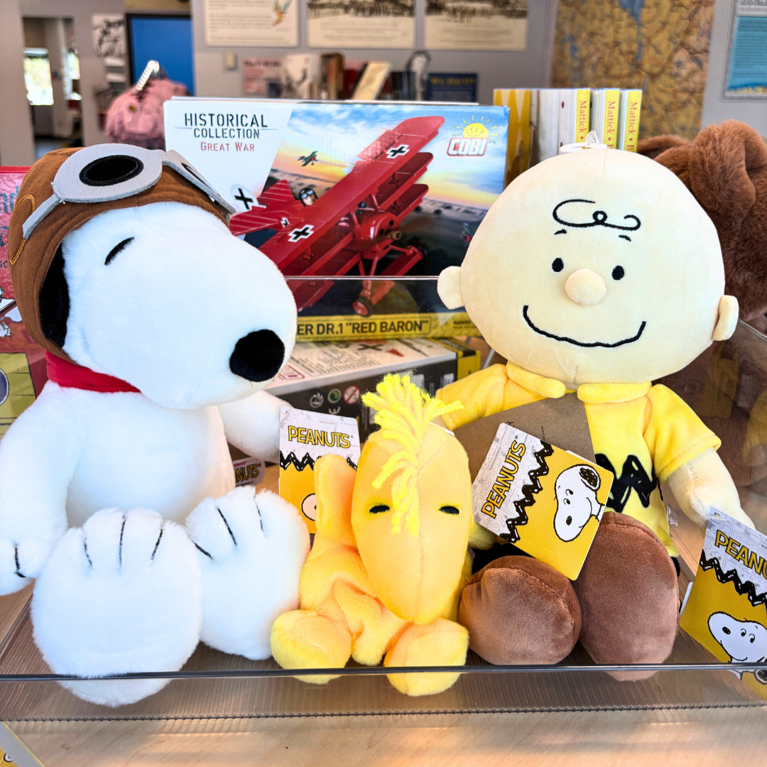 Snoopy and Friends