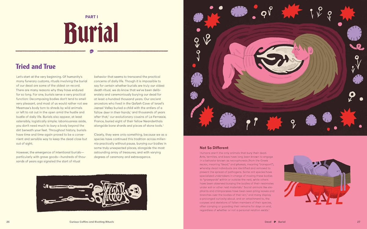 Curious Coffins & Riveting Rit