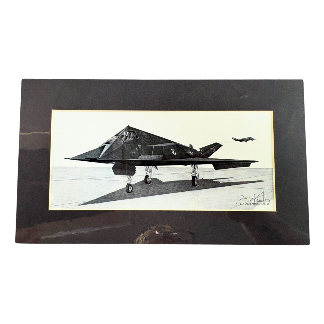 F-117 Print