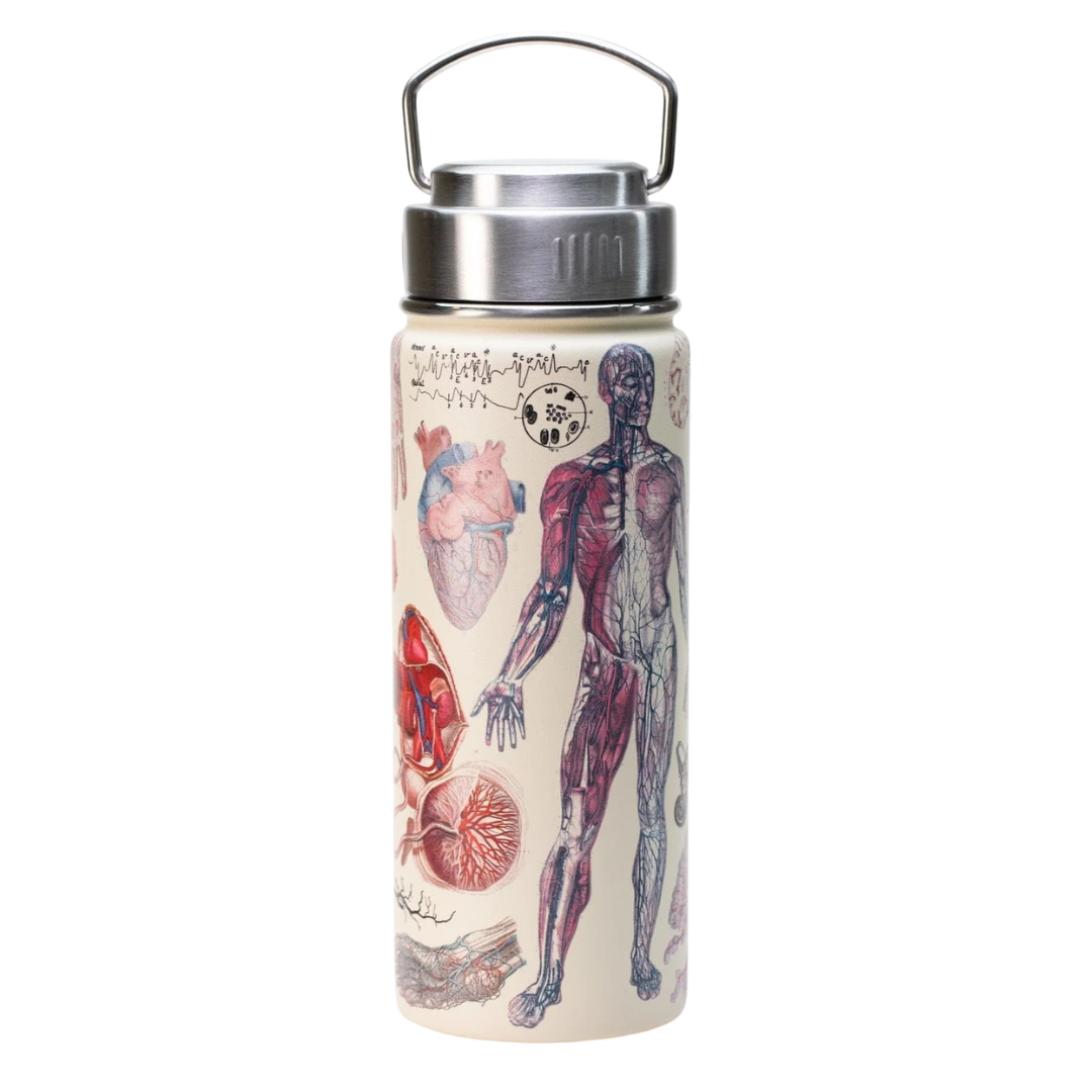 Human Anatomy Steel Bottle