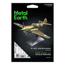 Load image into Gallery viewer, Metal Earth - P-40 Warhawk Scale Model
